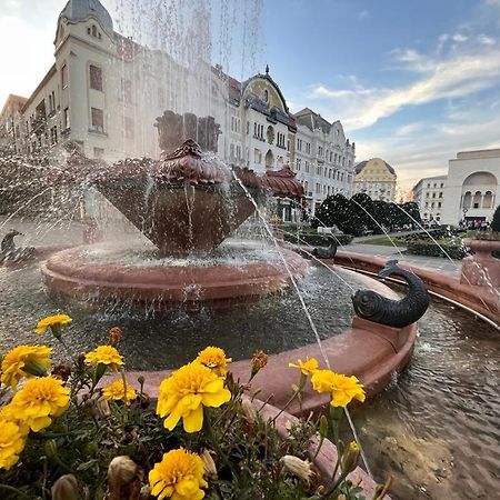 Downtown Apartment Timisoara Bagian luar foto
