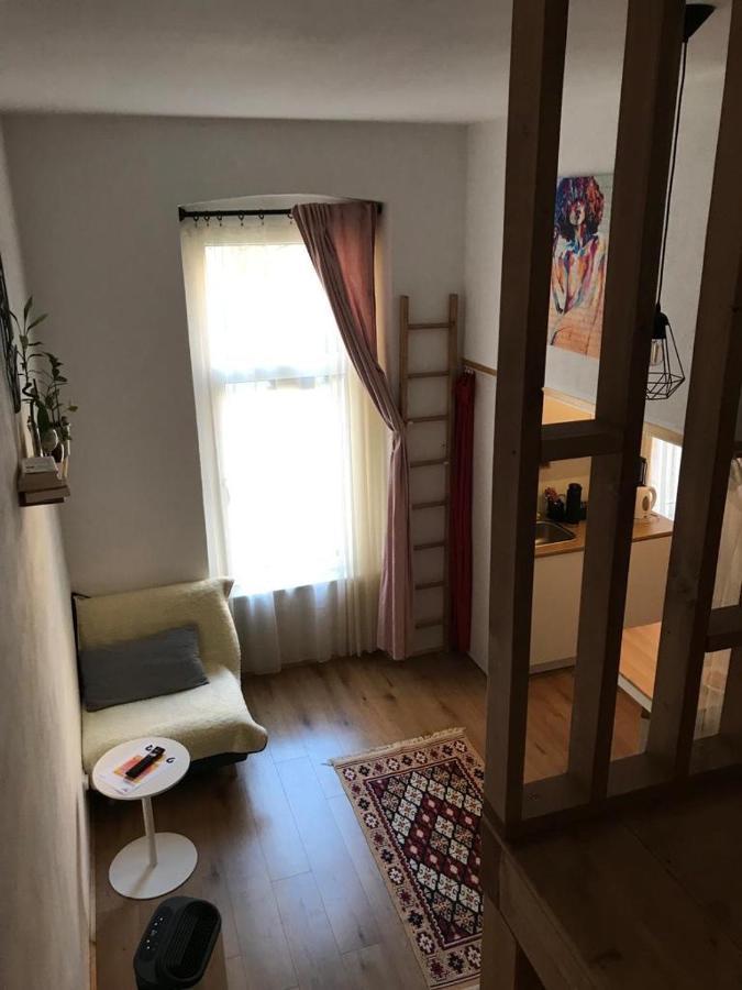 Downtown Apartment Timisoara Bagian luar foto