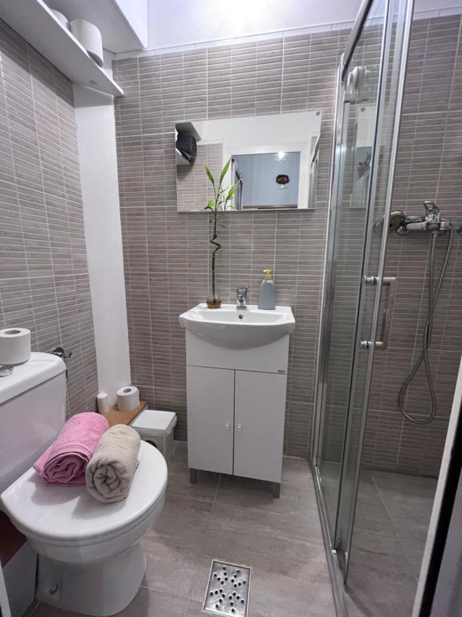 Downtown Apartment Timisoara Bagian luar foto