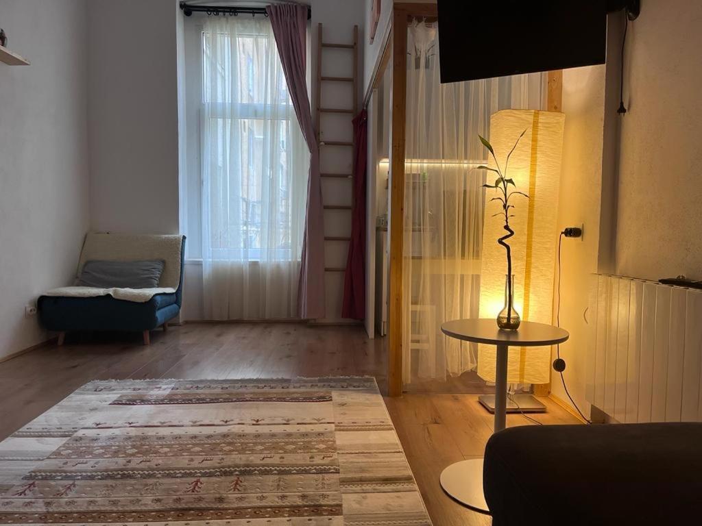 Downtown Apartment Timisoara Bagian luar foto