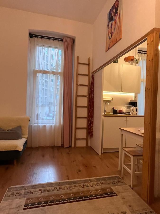 Downtown Apartment Timisoara Bagian luar foto