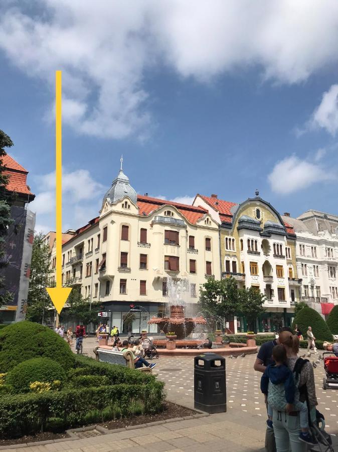 Downtown Apartment Timisoara Bagian luar foto