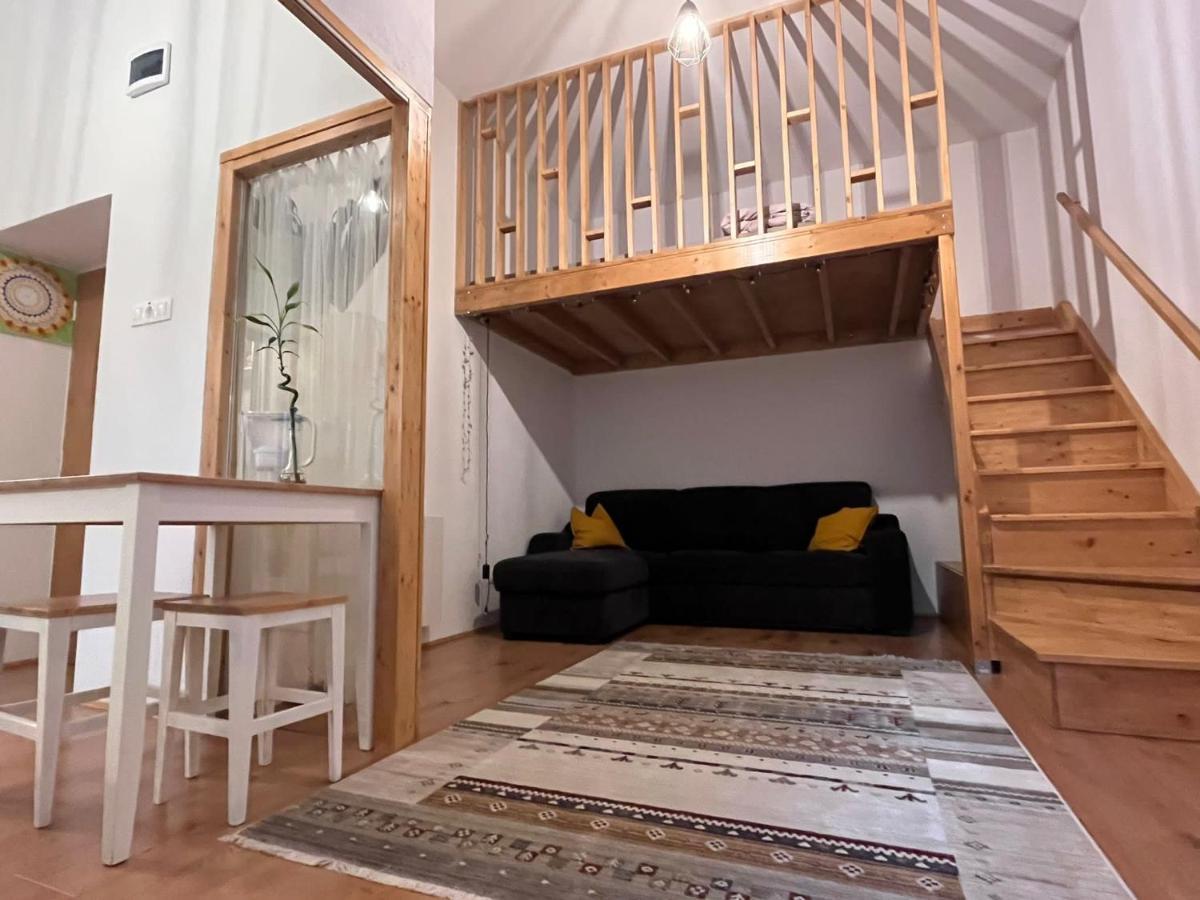 Downtown Apartment Timisoara Bagian luar foto