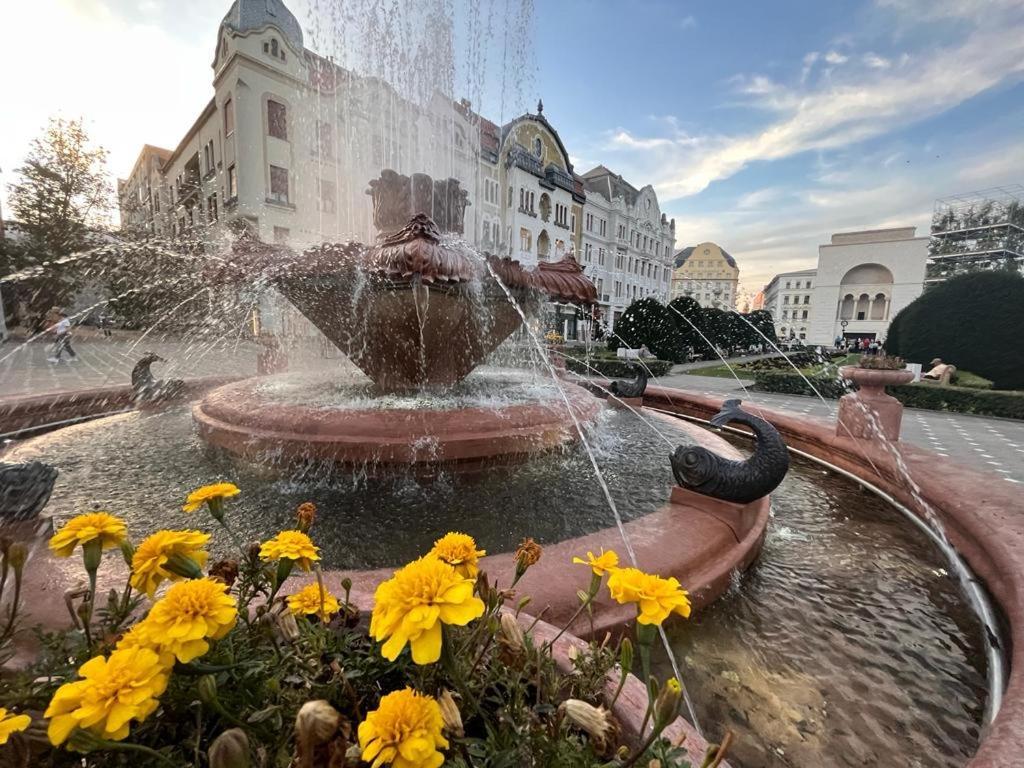 Downtown Apartment Timisoara Bagian luar foto